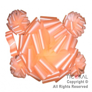 Mo�o para auto liso salmon x 1